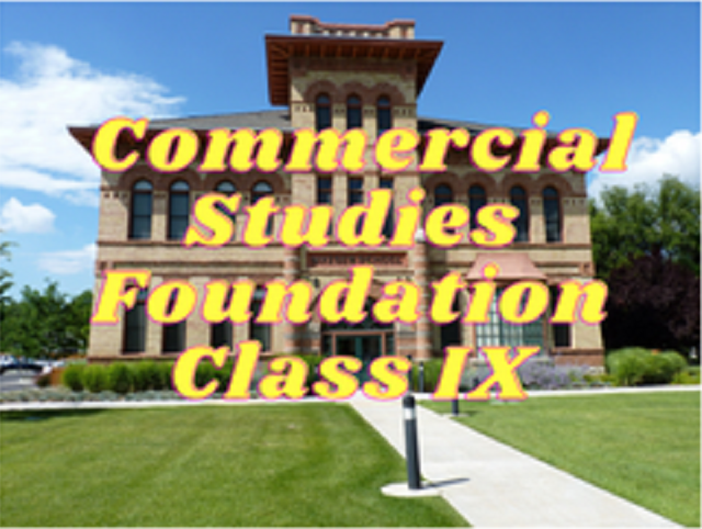 Commercial Studies (Foundation) - Class IX